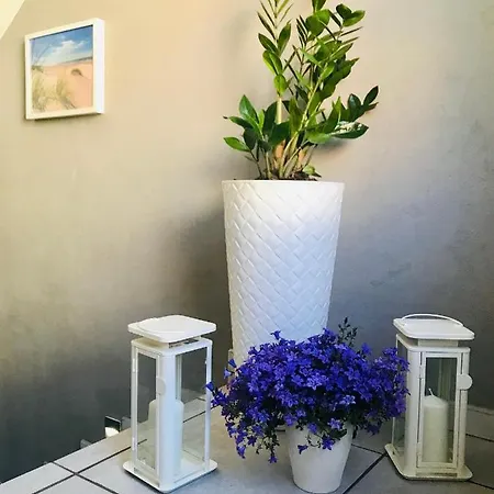 & 民宿 卡尔维亚